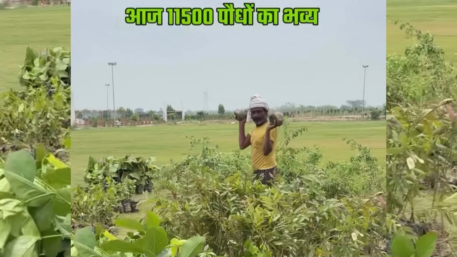 Aqua Mansarovar Plants 11,500 Trees: A Commitment to a Greener Future in Uttar Pradesh
